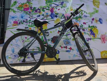 Городские велосипеды: Городской велосипед, Skillmax, Рама XXL (190 - 210 см), Сталь, Корея, Новый