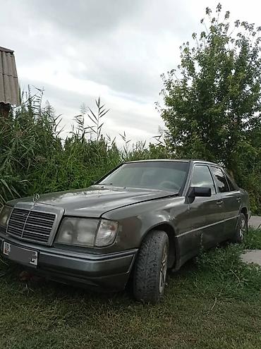 x class: Mercedes-Benz W124: 1989 г., 2.9 л, Автомат, Дизель, Седан — 1