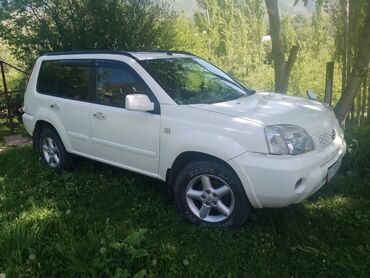 Mercedes-Benz: Mercedes-Benz Спринтер: 2004 г., 2 л, Автомат, Бензин, Кроссовер