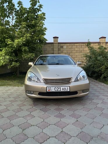runx alex: Lexus ES: 2004 г., 3.3 л, Автомат, Бензин, Седан