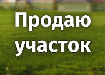 6 соток, Для строительства, Красная книга, Договор купли-продажи