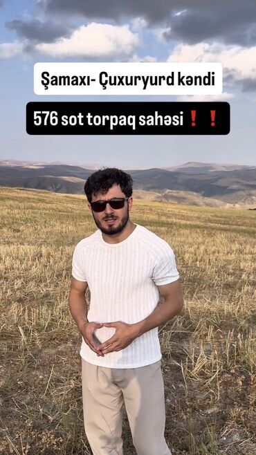 İnformatika: 576 sot