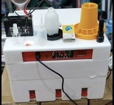 Digər kənd təssərüfat avadanlığı: Avtomatik yumurta inkubatoru – rəqəmsal idarəetmə paneli və tam dəst