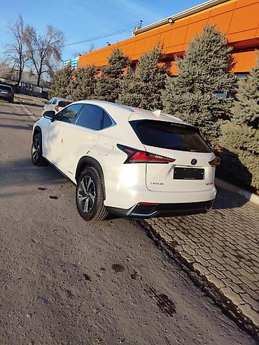 Lexus: Lexus NX: 2019 г., Вариатор, Гибрид, Кроссовер — 5