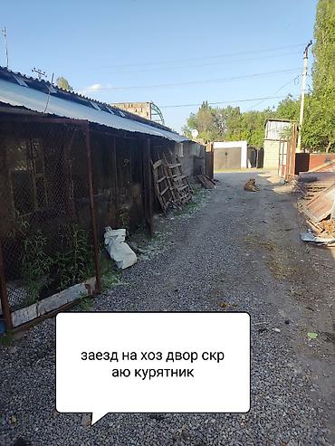 Продажа коттеджей и домов: Продам очень большой благоустроенный дом 250кв м жилая площадь — 7