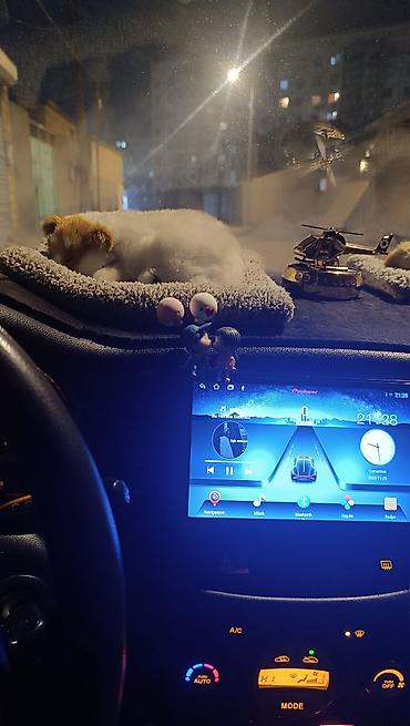 masin satis sayti: Kia Rio: 1.5 l | 2006 il Hetçbek — 4