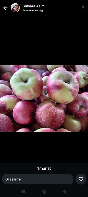 Tərəvəzlər: Məhsul: Qırmızı-yaşıl alma