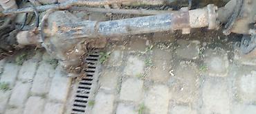 keci qiymeti: Tək Tək də satılır.Razılaşma yolu ilə.Bakıdadı.Öz maşınımındı — 6