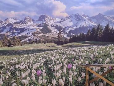 Ремонт под ключ: Ремонт под ключ | Квартиры Больше 6 лет опыта — 5