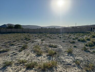 zabrat 2 de satilan torpaqlar: 10 sot, Kənd təsərrüfatı, Mülkiyyətçi, Kupça (Çıxarış), Bələdiyyə