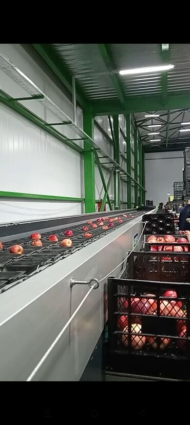 Kia: Iş var kim istdese desin xanım işci lazımdı Xudatdadi iş xaladennikdi