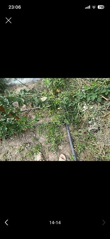 Теплицы: Тепличный комплекс каркасного типа - Арочные теплицы на металлическом — 14