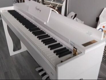 Sintezatorlar: Sintezator, Yeni, Pulsuz çatdırılma — 10