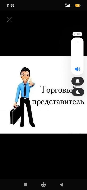 Сатуулар: Ищу работу торгового агента представителя,на регион Беловодск, Кара — 1