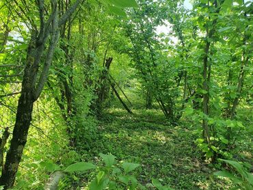 Həyət evləri və villaların satışı: 5 otaqlı, 158 kv. m, Orta təmir -da lalafo.az — 6 Həyət evləri və villaların satışı: 5 otaqlı, 158 kv. m, Orta təmir — 6