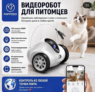 Видеоробот для питомцев PapiFeed Функционал: - HD‑камера 1080p
