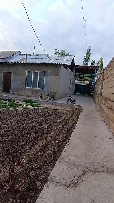 Продажа коттеджей и домов: Договорная — 3