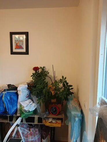 Usluge u domaćinstvu: Postavljanje i Kačenje Slika na Zid 🎨 Usluga postavljanja i kačenja — 6