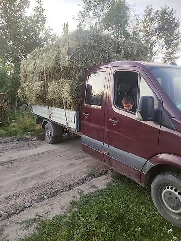 Грузовики: Грузовик, Mercedes-Benz, Дубль, 4 т, Б/у — 6