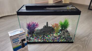 Dördbucaq akvarium, Boş, 15 l, Ünvandan götürmə