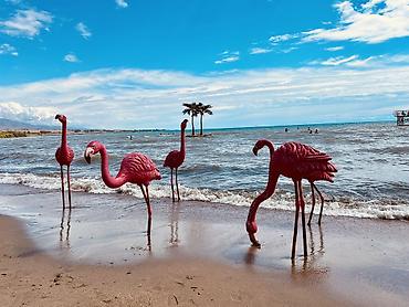 Иссык-Куль 2026: Коттедж, Палм Бич ЦО Palm Beach, Чок-Тал, Охраняемая территория, Парковка, стоянка, Футбольное поле — 23