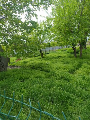 Torpaq sahələrinin satışı: 62 sot, Biznes üçün, Mülkiyyətçi, Kupça (Çıxarış) — 4