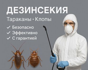 цены на строительные работы в бишкеке 2023 год: Дезинсекция от тараканов и клопов - Профессиональная обработка жилых