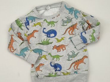 szary sweterek dla dziewczynki: Bluza, 3-4 lat, 98-104 cm, stan - Dobry
