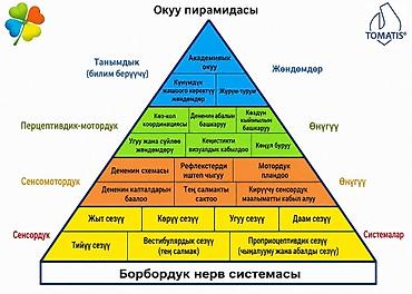 жылга сай арча бешик: 💥 АКЦИЯ: болгону 11 000 сом!АСИЯ — Логопедиялык бала бакча / Детский — 3