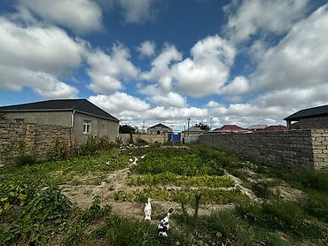 3 sot, Tikinti, Mülkiyyətçi, Kupça (Çıxarış)