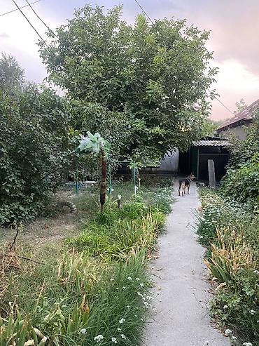 Продажа коттеджей и домов: Продается дом 7,7 соток 53 кв.м + времянка + гараж + баня Центральная — 11