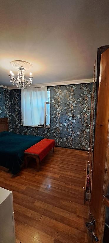 Həyət evləri və villalar: Satılır: həyət evi Qala qəsəbəsi, Xaşaxuna bağlarında, mərkəzi yoldan — 7