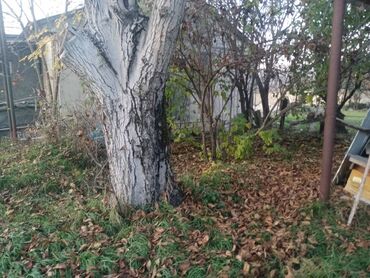 Həyət evi alıram: 128 kv. m, 8 otaq, Qaz, İşıq, Su — 19