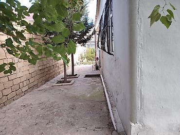 Həyət evləri və villaların satışı: NOVXANL BAĞLARI DƏNİZ KƏNARI 12 DAŞ KÜRSÜLÜ QİYMƏTDƏ ENDİRİM OLUNACAQ — 7