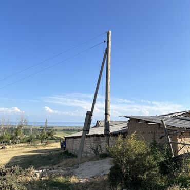 Сельхоз предприятия: Продаю Кошара, 40 соток, Действующий, С оборудованием, Отопление, Холодная вода, Электричество at lalafo.kg — 6 Сельхоз предприятия: Продаю Кошара, 40 соток, Действующий, С оборудованием, Отопление, Холодная вода, Электричество — 6