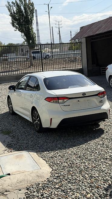 кел кел: Toyota Levin: 2023 г., 1.8 л, Вариатор, Гибрид, Седан — 3
