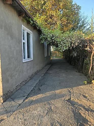 45: 🏡🔥 ПРОДАЁТСЯ ДОМ В ЦЕНТРЕ СЕЛА + 2,16 ГА ОРОШАЕМОЙ ЗЕМЛИ! 💰 ВСЁ ЗА $70 — 4