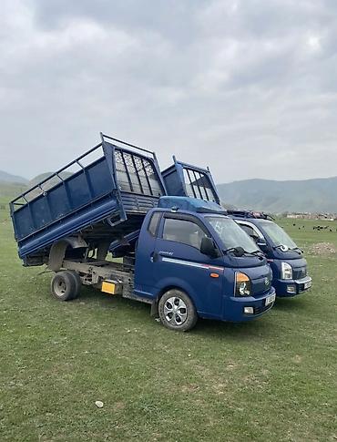 nomad transfer: Доставка щебня, угля, песка, чернозема, отсев, C грузчиком — 5