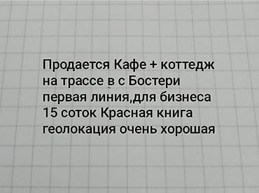 под любой бизнес: Кафе + коттедж на трассе в с. Бостери. Первая линия, отличная — 1