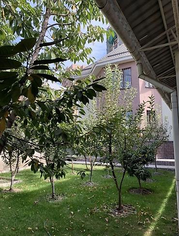 Долгосрочная аренда домов: 250 м², 6 комнат, Нижний Джал (Джал-23) — 4