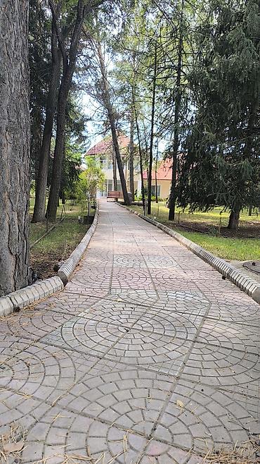 взморье: Аренда квартиры на Иссык-Куле, Кыргызское взморье, Бостери, 5 мест, Цена Целиком за жилье — 9