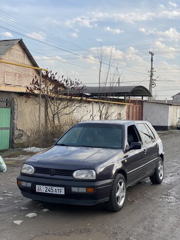 голы 4 универсал: Volkswagen Golf: 1993 г., 1.6 л, Механика, Бензин, Хэтчбэк