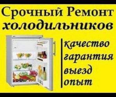 холодильник б у: Ремонт всех видов холодильников, морозильников, витринных