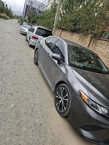 voxy noah: Toyota Camry: 2020 г., 2.5 л, Автомат, Бензин, Седан — 2