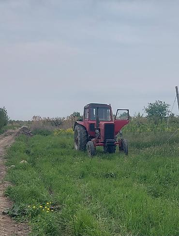 ot bicen belarus: Qırmızı MTZ tipli təkərli traktor - Kabinli, ön dar təkərli — 4