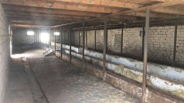 Torpaq sahələrinin satışı: 48 sot, Kənd təsərrüfatı, Makler, Kupça (Çıxarış) — 14