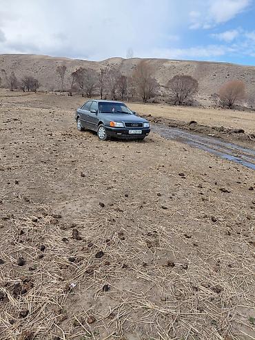 купить ауди кю 7: Audi 100: 1991 г., 2 л, Механика, Бензин, Седан — 7