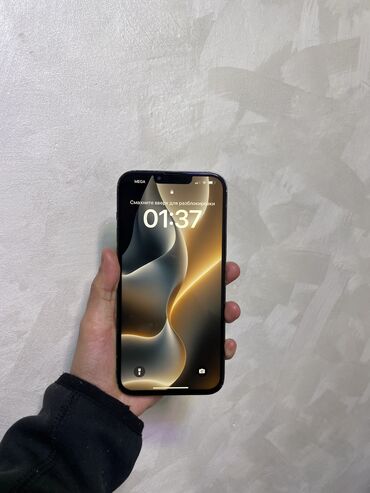 Apple iPhone: IPhone 13 Pro Max, Б/у, 256 ГБ, Graphite, Чехол, 80 %