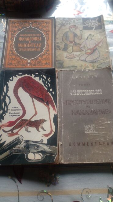 Bədii ədəbiyyat: Muxtelif janrda kitablarhardasa 150 200 e yaxin kitabdi50 qepikden — 13