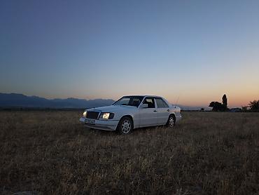 devo matiz: Mercedes-Benz W124: 1991 г., 3 л, Механика, Дизель, Седан — 1